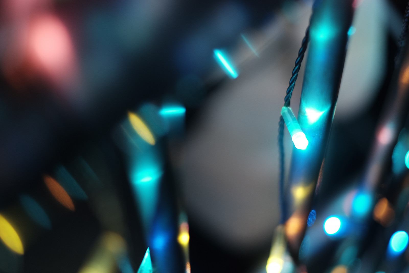 noc, zelená, modrý, Tokio, Fujifilm, světlo, barva, osvětlení, tvar, Fujinon, classicchrome, x, xf35mm, XT1, Jomiuriland, jewelumination, xf35mmf12r, zblízka, makro fotografie