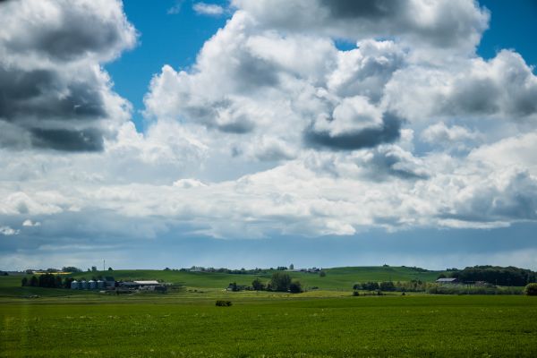 sunlight,landscape,hill,nature,grass,sky