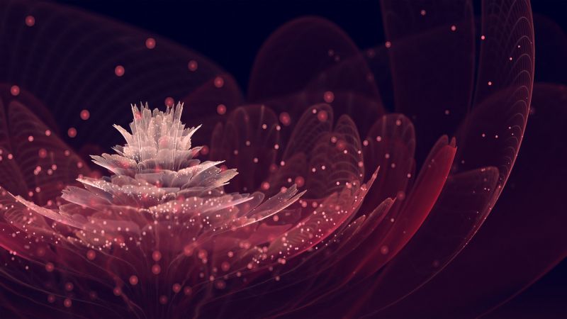 digitální umění, noc, fotografování, světlo, list, Červené digitální umění, noc, fotografování, světlo, list, Červené