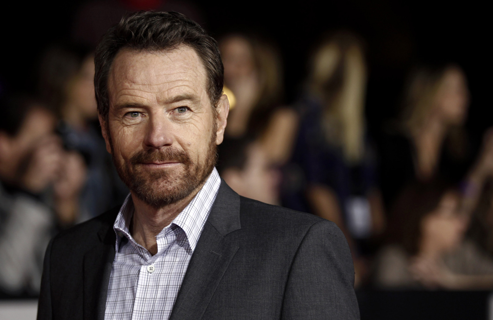 Wallpaper : actor, Person, audience, tuxedo, Bryan Cranston, beard ...