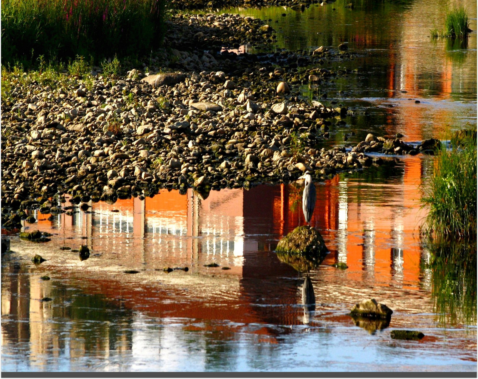 voda, budova, odraz, řeka, rybník, 2011, strom, podzim, acqua, casa, fiume, riflesso, bayou, vodní, cairomontenotte, airone, Egron