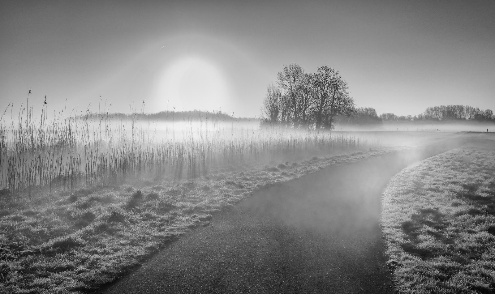 แสงแดด, ต้นไม้, แนวนอน, ขาวดำ, น้ำ, การสะท้อน, หญ้า, ท้องฟ้า, ฤดูหนาว, การถ่ายภาพ, สาขา, พระอาทิตย์ขึ้น, เงียบสงบ, ตอนเย็น, เช้า, หมอก, น้ำค้างแข็ง, แม่น้ำ, Halo, ขอบฟ้า, บรรยากาศ, ธนาคาร, การแช่แข็ง, มีหมอก, หมอกควัน, กก, ดำและขาว, ต้นไม้, มีหมอก, หมอก, รุ่งอรุณ, ทุ่งหญ้า, hss, sliderssunday, บรรยากาศของโลก, ดำและขาว, ถ่ายภาพขาวดำ, ปรากฏการณ์, nederlandvandaag, middendelfland, ซันนอน, แหล่งน้ำ, eyeinthesky, stock photography