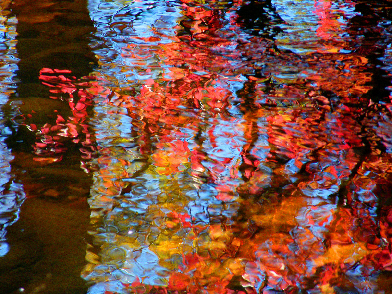 træer, farverig, efterår, blade, abstrakt, sø, vand, natur, rød, afspejling, parkere, afdeling, sæsoner, blod, Dam, forår, træ, efterår, blad, farver, efterårsfarver, plante, naturlig, farver, catchycolors, automne, Herbst, Autunno, Reflexions, jesien, fallcolors, løvfældende, autumncolors, ahorntræ, ahorn blad, ahorn, fire sæsoner, colorexplosion, 4Seasons, otono, s gis, naturephotos, natureimages, jesiennie, Harriman, spilde