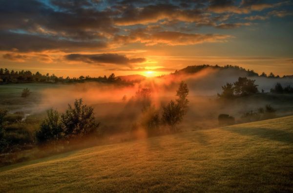 sunlight, sunset, nature, sky, trees, reflection