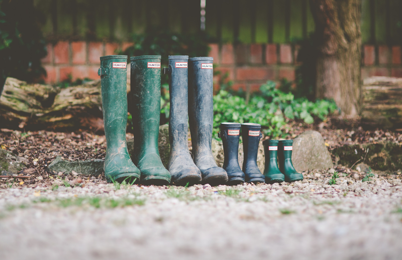 Wallpaper garden, grass, green, boots, British, hunter, hunters, tree