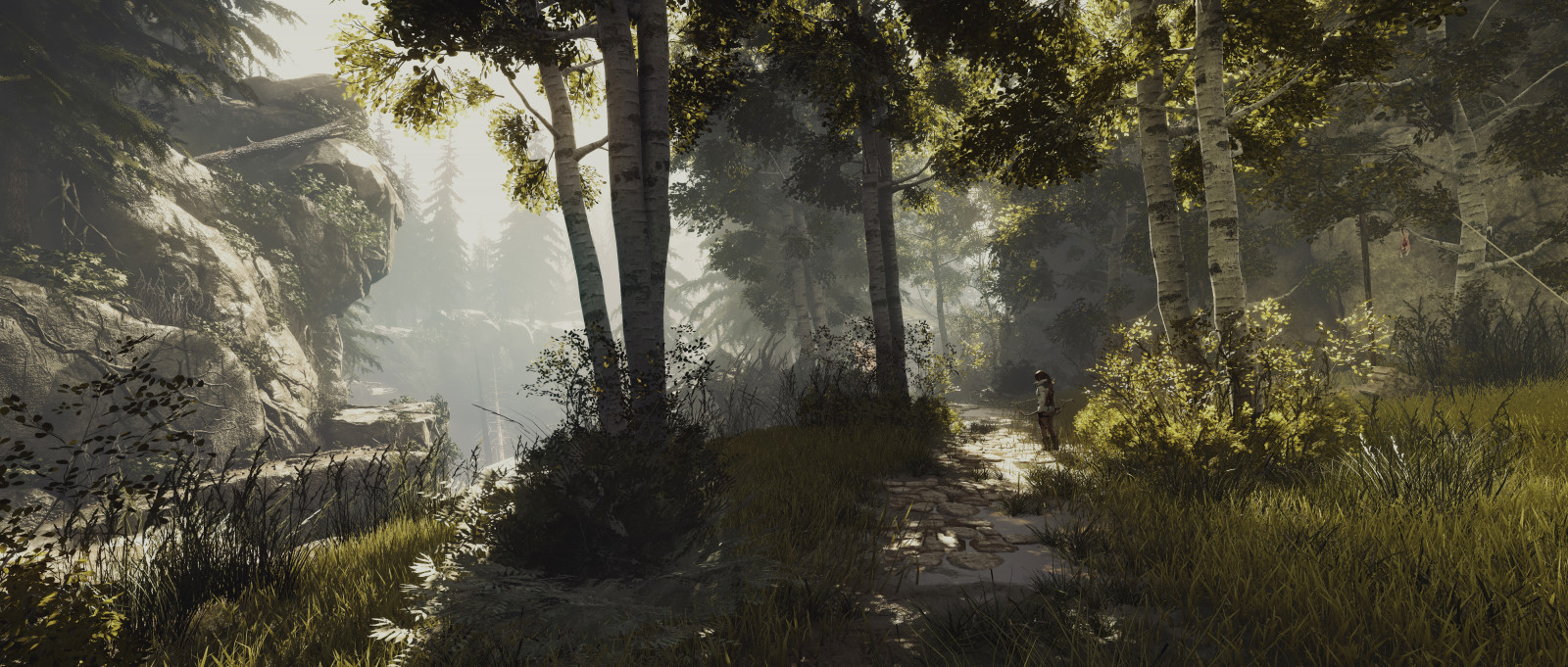 slunečnímu záření, krajina, les, voda, tráva, nebe, ráno, mlha, džungle, deštný prales, přírodní rezervace, strom, rostlina, vegetace, Snímek obrazovky, zálesí, počítač tapeta, mírné jehličnatý les, biome, prales, lara, vodní prvek, Lara Croft, Tomb Raider, Vzestupně, Geothermalvalley