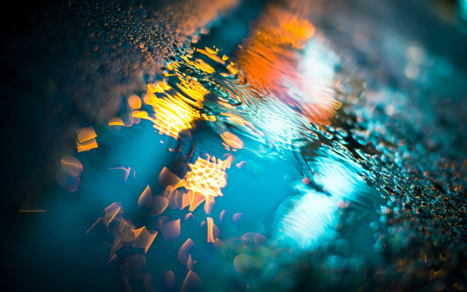 slunečnímu záření noc voda odraz fotografování modrý Pod vodou bokeh louže přízemní chodníky světlo barva počítač tapeta makro fotografie