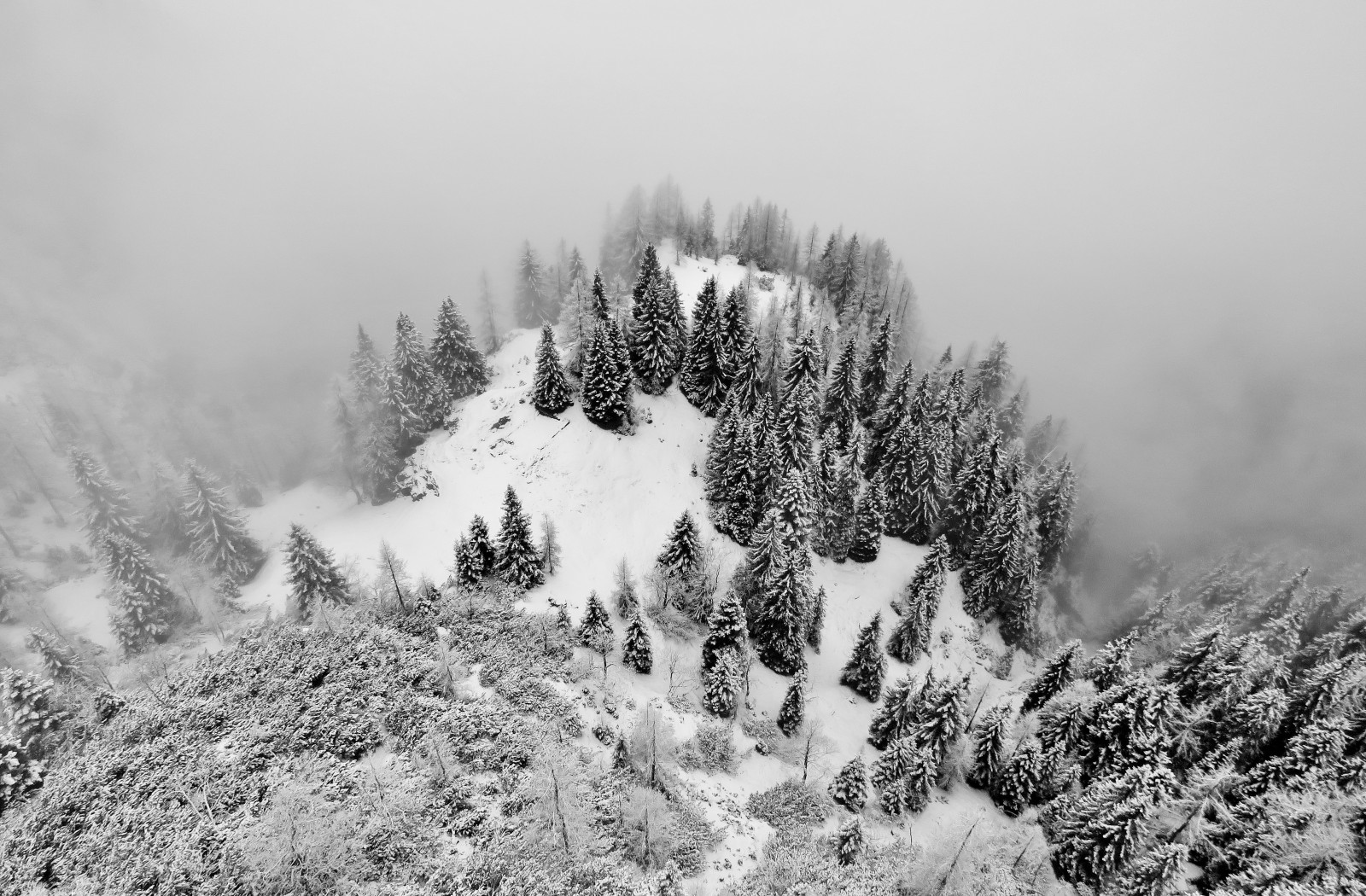 Černý a bílý, tělesné