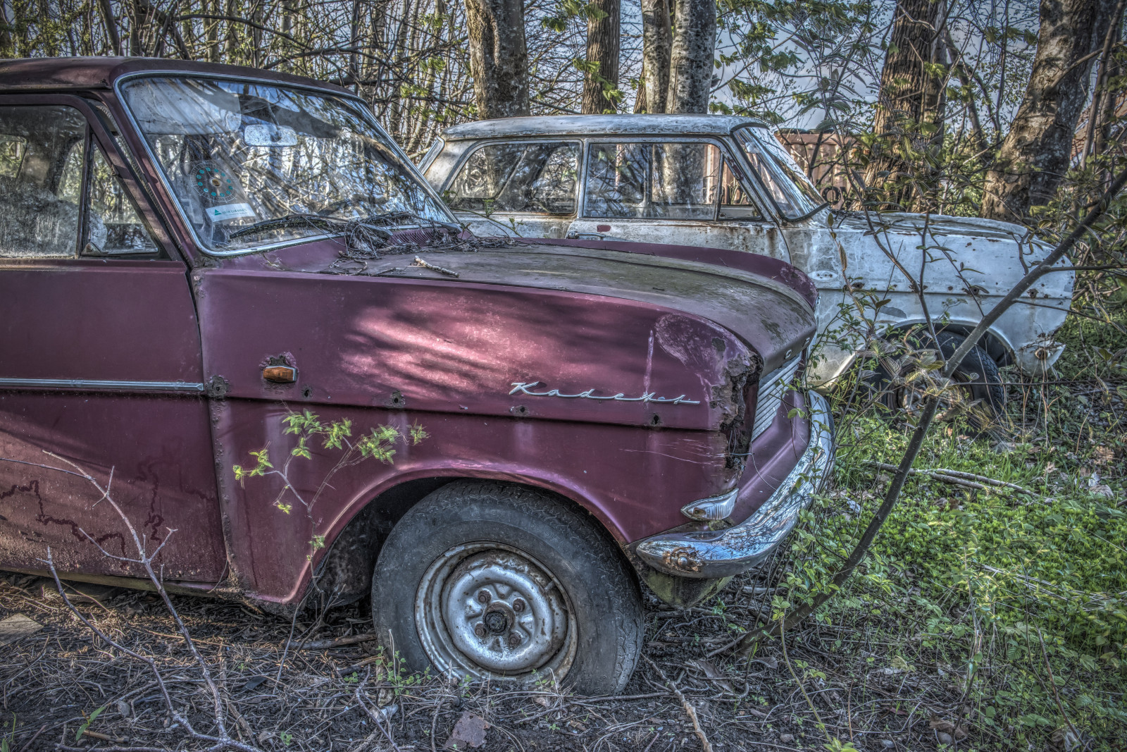 รถ, อาคาร, ถูกทอดทิ้ง, หญ้า, ยานพาหนะ, HDR, Nikon, การสลายตัว, รถโบราณ, Opel, urbex, ต้นไม้, Danmark, คลาสสิก, d800, ปวด, ช่วงไดนามิกสูง, voitures, การออกแบบยานยนต์, รถครอบครัว, รถกะทัดรัด, ยานยนต์, Gebouw, urbanexploring, Verlaten, leegstand, geppestein, wwwgeppesteinfotografienl, kadet