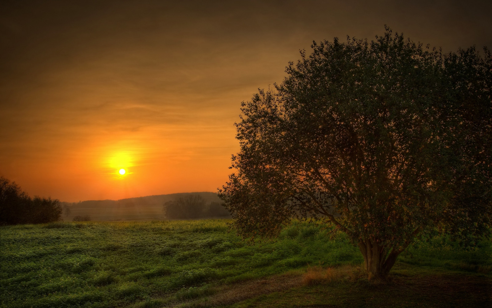 Wallpaper : 2560x1600 px, fields, landscapes, nature, skyscapes, sunset ...