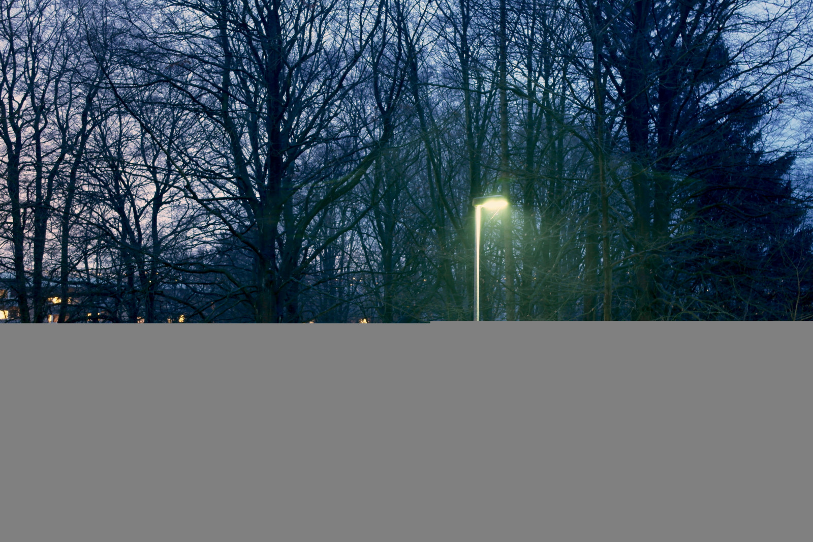 noc, park, město, Citypark, stromy, svítilna, světlo, modrý, zelená, cesta, Krásná, mír, mimo, natur, Příroda, les, flickr, přírodní, modrá obloha, silnice, zlato, Dánsko, Evropa, nordický, lavice, pouliční lampa, strom, listy, list, Studený