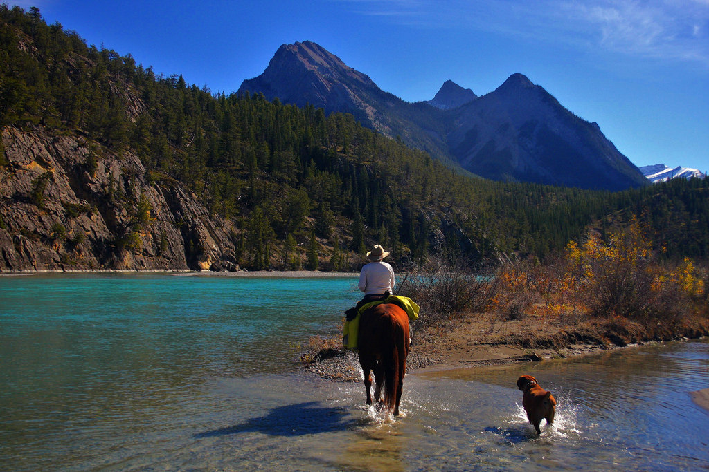 hory, moře, jezero, řeka, divočina, chůze, dovolená, kovbojka, podzim, hora, canon40d, horských reliéf, landform, tělo z vody, pohoří, canadianrockies, soblessedtoridehere, horsebackshooting, cowgirlrightup, saddletime