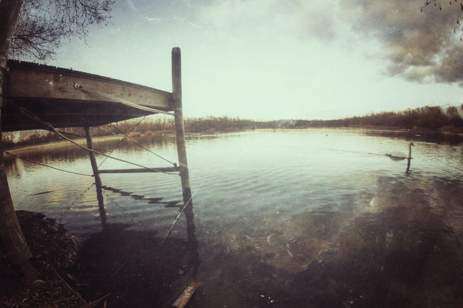 เก่า, พระอาทิตย์ตก, ท้องฟ้า, สัตว์, สัตว์, ดู, tiere, wasser, Alt, แฟรงค์เฟิร์ต, Herst, himmel, Wolken, enten, Sonne, Wald, bl tter, Schwan, baum, Vogel, sonnenschein, Schw NE, weiher