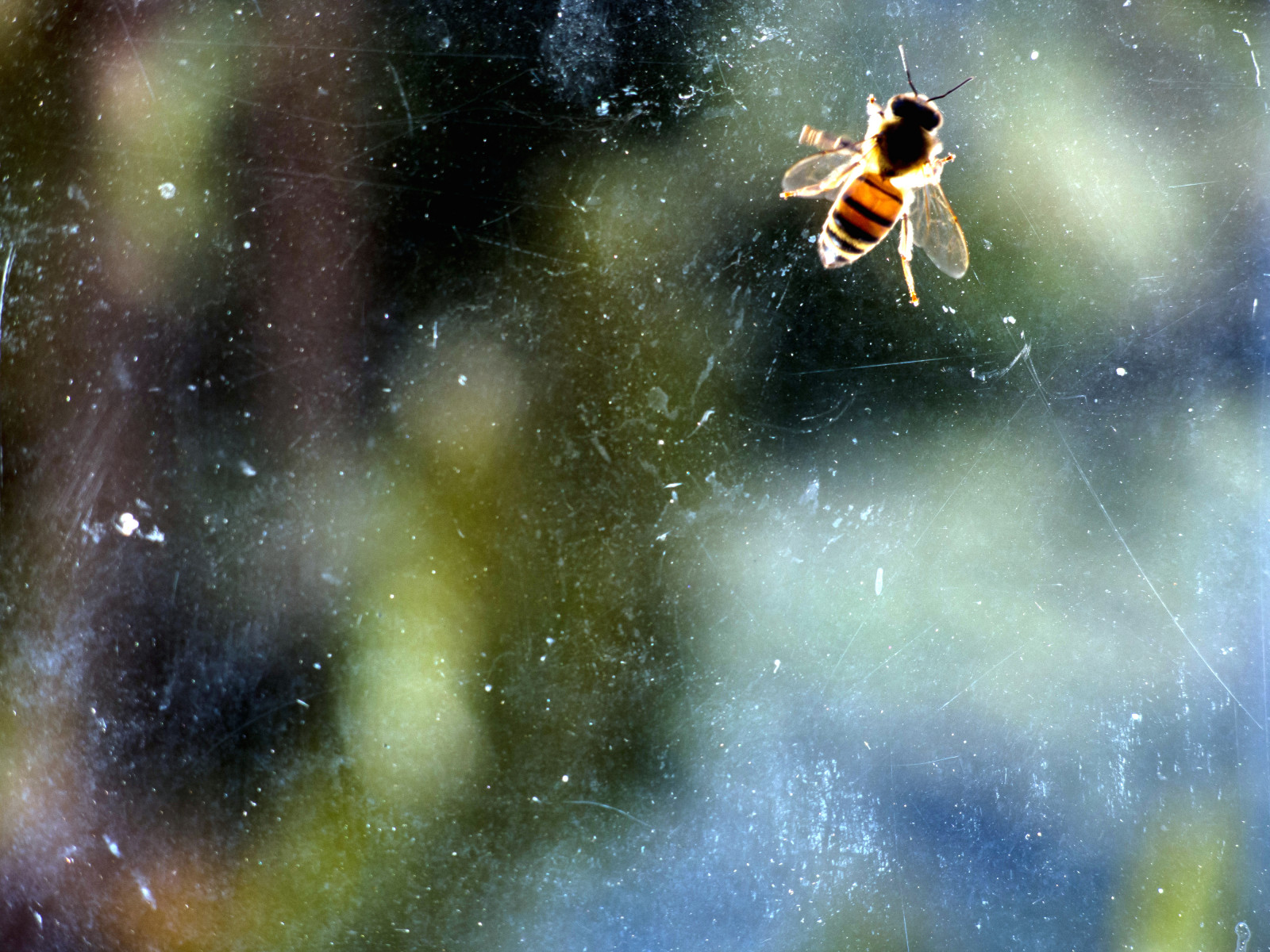 okno, galaxie, prostor, sklenka, mlhovina, atmosféra, vesmír, astronomie, Lightroom, Včela, hloubka pole, dof, janela, Snímek obrazovky, Abelha, počítač tapeta, vesmír, astronomický objekt, minasgerais, nikoncoolpixp7700, cara, estradareal, serradocara, Santu riodocara, imaginaryprison, coolpixp7700, santaba rbara, sanctuaryofcara, pris oimagin ria