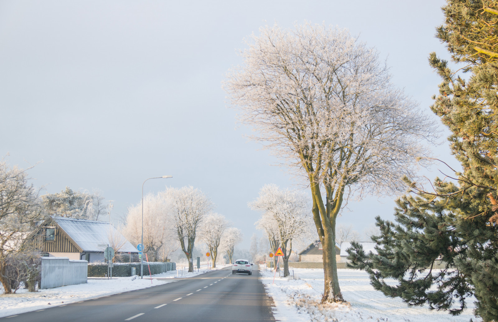 sunlight, landscape, sky, snow, winter, road, branch, morning, frost, Rime, Freezing, infrastructure, cloud, tree, scenery, himmel, vinter, landskap, exif model canoneos760d, geocountry, camera make canon, geocity, camera model canoneos760d, geostate, geolocation, exif lens efs18200mmf3556is, exif make canon, exif isospeed 100, exif focallength 50mm, exif aperture 50, vag, rimfrost, three, blizzard, woody plant, trad