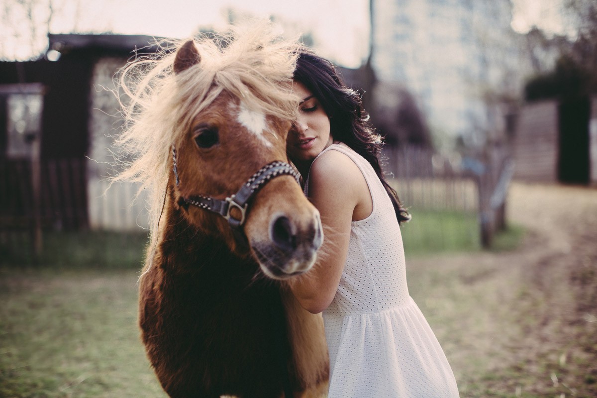 tvář, ženy, model, modré oči, kůň, Aurela Skandaj, hlava, savec, obratlovců, hříva, kůň jako savci, hřebec