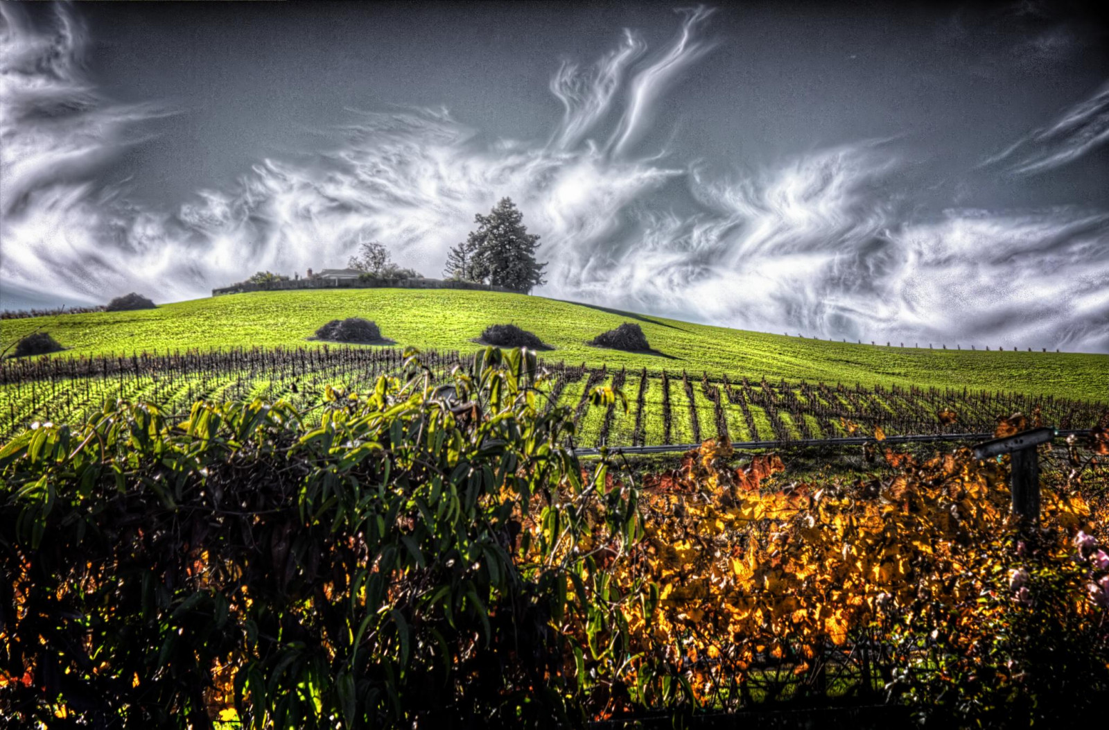 Area Background Wallpaper : nature, sky, field, cloud, agriculture, landscape, rural ...