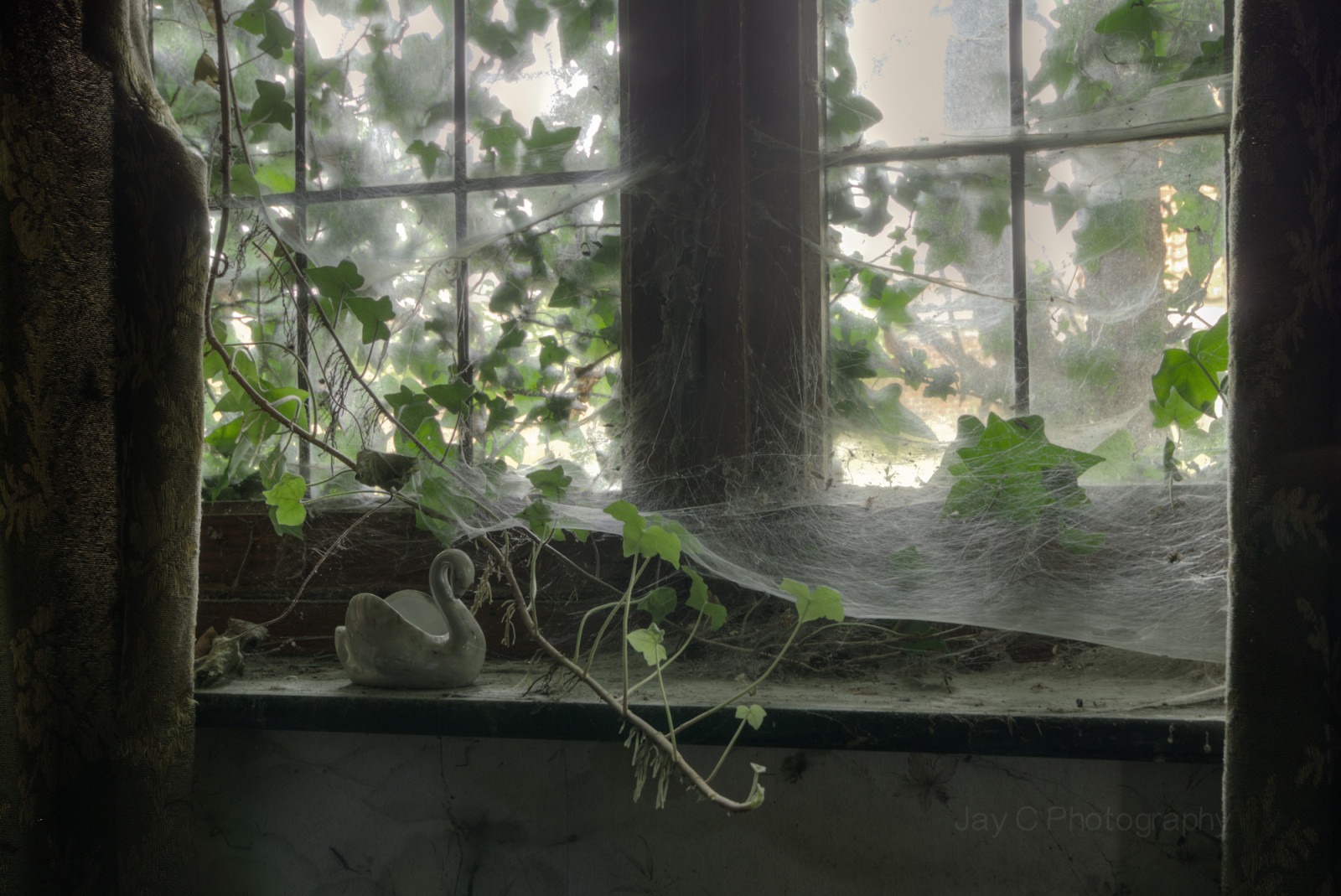 Grün, Fenster, Natur, Kanon, Schwan, zerfallen, Bogen, Erkundung, Verfallen, HDR, Cygne, Aufgegeben, Jyc, Urbex, Abandonne, Explorationurbaine, Bruderschaft der Ödland, Bowurbexcom, Bruderschaft