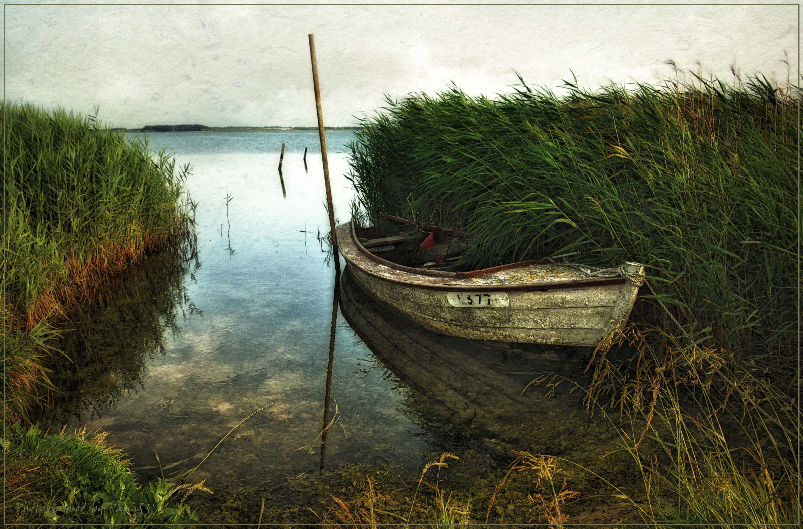 voda, bota, loď, fjord, Danmark, texturou, schilf, textur, fjand, nissumfjord, nissum, juetland, magicunicornverybest, magicunicornmasterpiece, galleryoffantasticshots, Pana53, bestevercompetitiongroup, Fotografovalpana53, besteverdigitalphotography, Texturedbypana53, n rhede