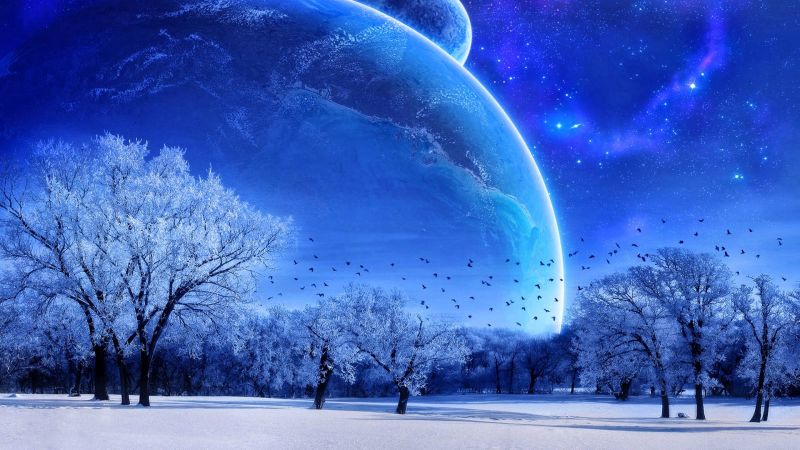 Árvores, arte digital, planeta, espaço, neve, inverno Árvores, arte digital, planeta, espaço, neve, inverno