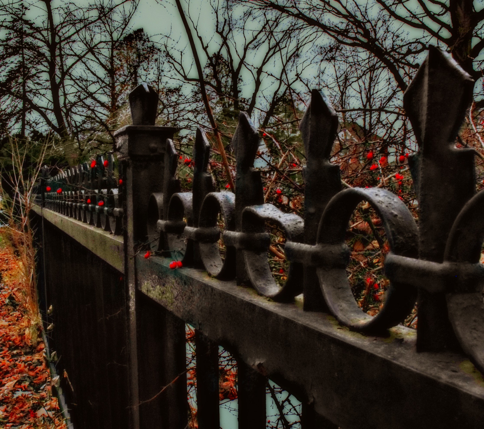 strom, rostlina, chrám, podzim, voda