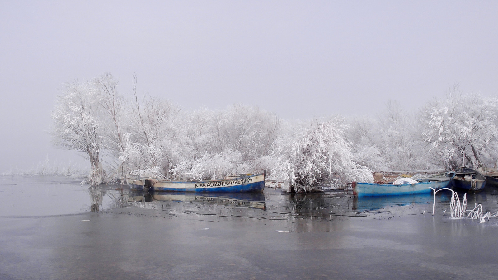 stromy, krajina, loď, jezero, voda, Příroda, odraz, nebe, sníh, zima, větev, uklidnit, led, ráno, mráz, řeka, banka, zmrazení, Olympus, strom, rostlina, zamrzlý, gol, K, vodní, a a, xz1, Tekne, Bey ehir