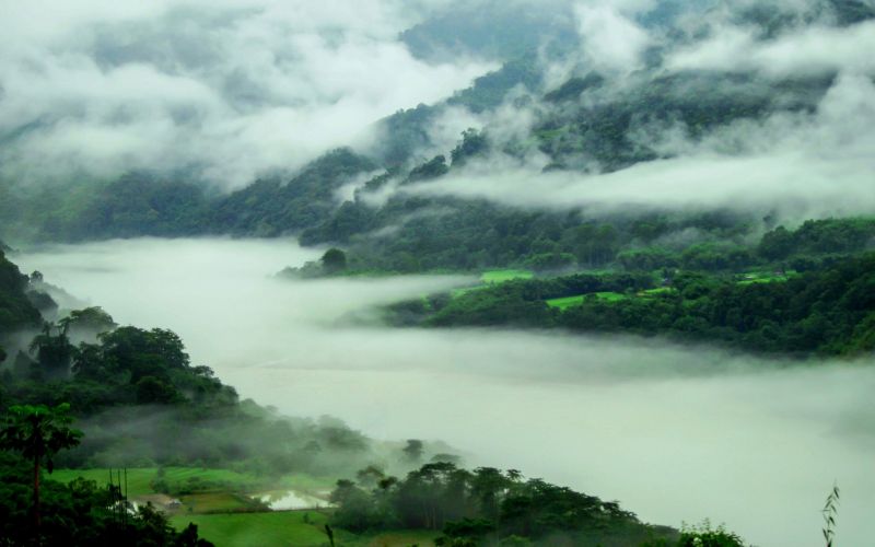 trees, landscape, forest, mountains, hill, lake trees, landscape, forest, mountains, hill, lake