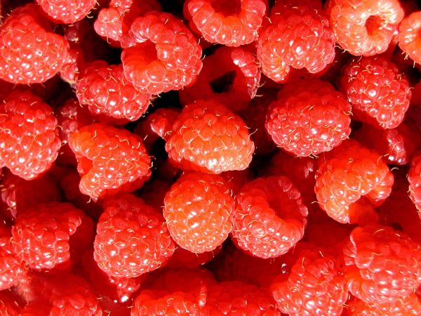 food,fruit,plant,red,strawberries,light