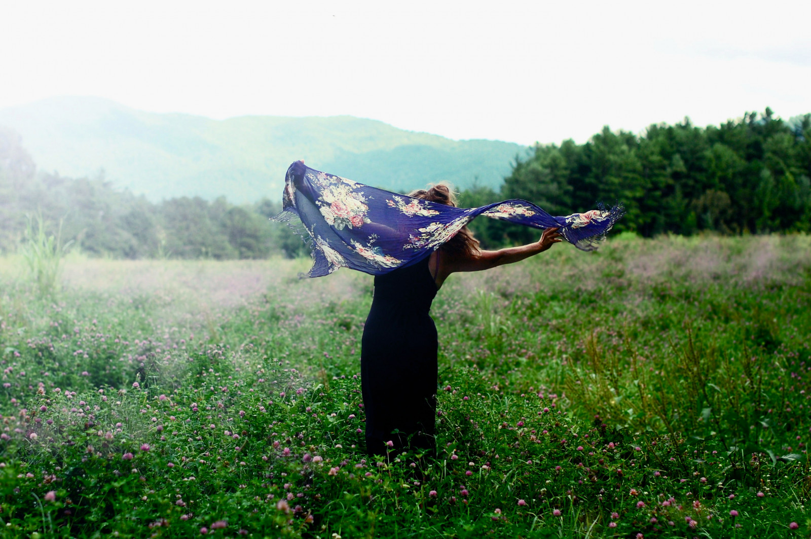 slunečnímu záření, stromy, krajina, hory, květiny, kopec, Příroda, tráva, nebe, pole, šaty, zelená, vítr, šátek, Nikon, jaro, světlo, strom, list, květ, lučina, rostlina, dívka, zábava, pastvina, zemědělství, louka, d40, složení, Severní Karolina, prérie, oříznutí, tekoucí, venkov, tráva rodina, ekoregion, pinkflowers