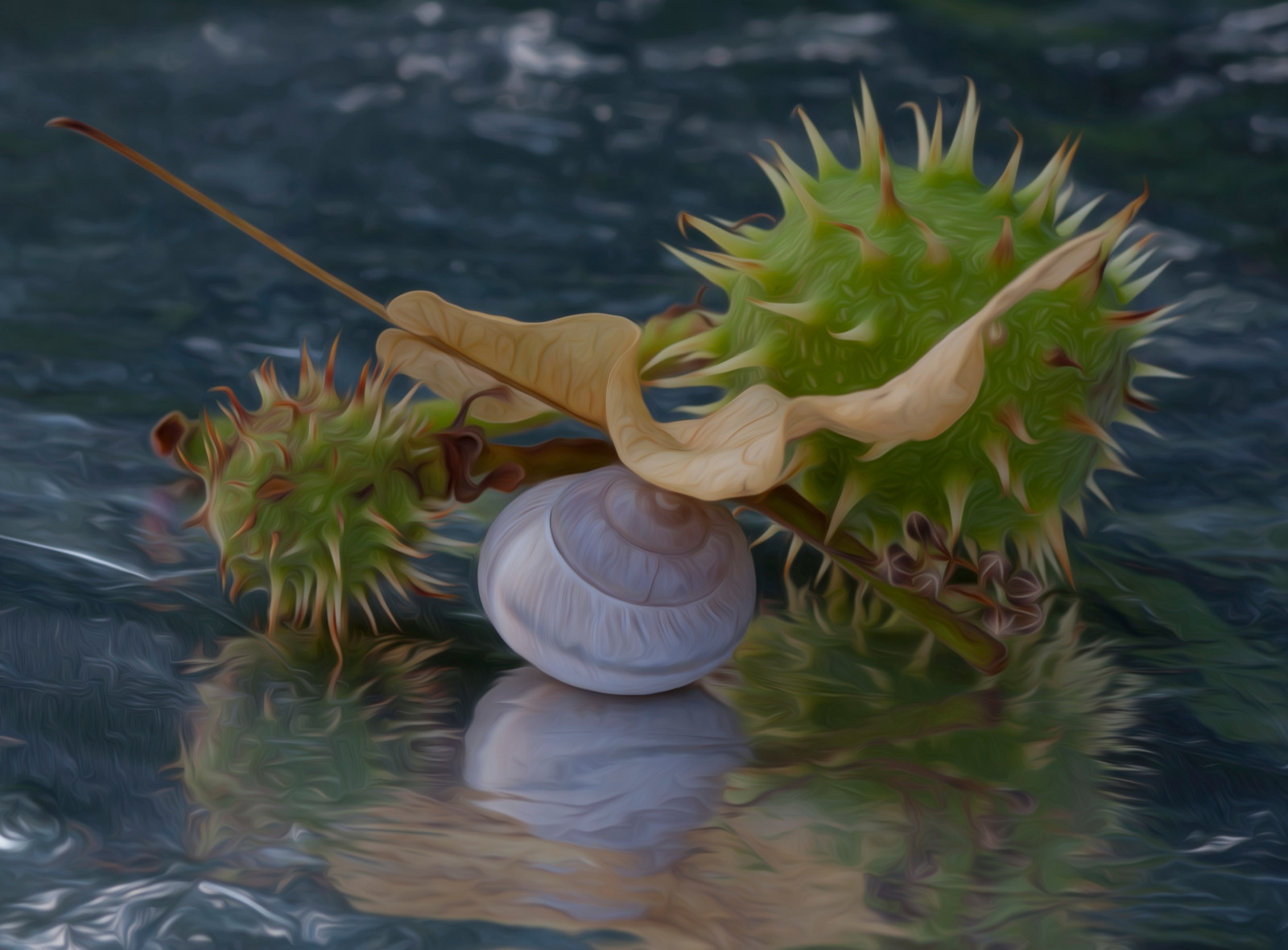 voda, Příroda, odraz, zrcadlo, UMĚNÍ, rostlina, natur, ovoce, kunst, spiegelung, fr chte, organismus