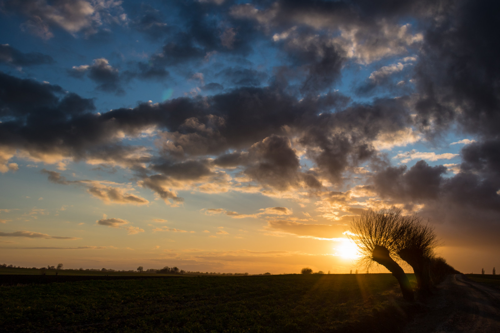 slunečnímu záření, krajina, západ slunce, moře, Příroda, nebe, pole, svítání, večer, ráno, slunce, horizont, atmosféra, soumrak, Vrba, mrak, strom, svítání, nebe, solnedg ng, tr d, sk ne, venkov, moln, landsbygd, s dersl tt, landskap, pilar, PIL, piltr d, piletr d, odlesk, astronomický objekt, meteorologický jev