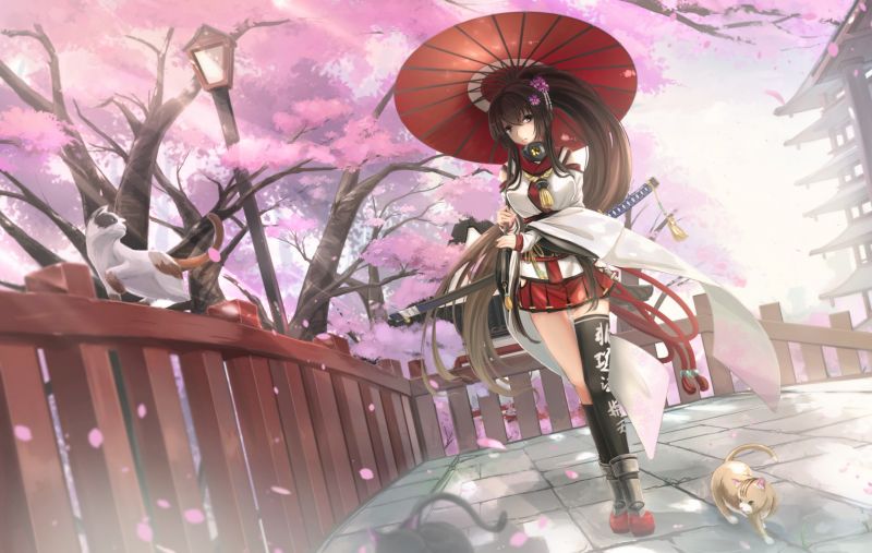 Anime, Filles anime, Collection Kantai, Yamato KanColle, capture d'écran Anime, Filles anime, Collection Kantai, Yamato KanColle, capture d'écran