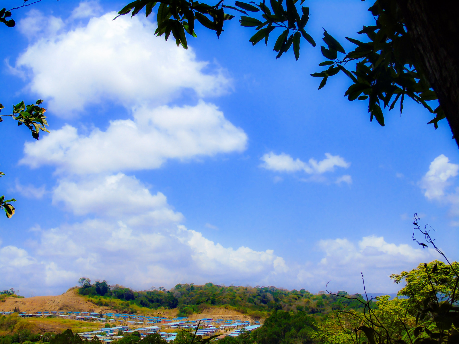 blå, skyer, interestingness, opdagelsesrejsende, udforske, Moder Natur, i500, beyondtheclouds, cloudscloudcloudpornweatherlookupskiesskyporncloudyinstacloudinstacloudsnaturebeautifulgloomyskylinehorizonovercastinstaskyepicskyphotoofthedaycloudskyeskybackskyloversiskyhub, photophotospicpicspicturepicturessnapshotartbeautifulflickrgoodpicofthedayphotoofthedaycolorallshotsexposurecompositionfocuscapturemoment