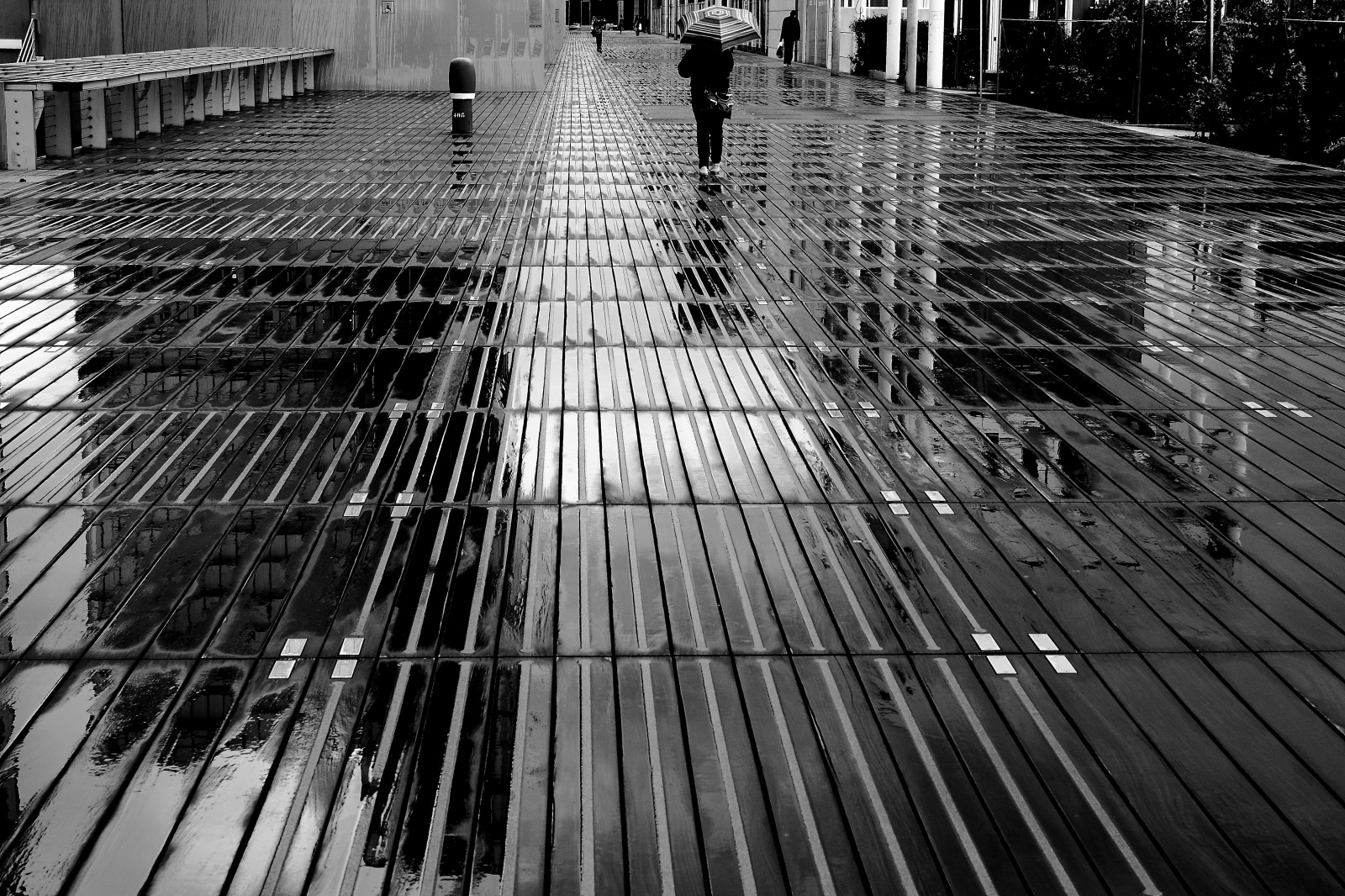 sort, monokrom, gade, arkitektur, vand, by-, bygning, afspejling, skygge, regn, fotografering, træ, symmetri, stål, hegn, Paris, gangbro, metropol, noir, struktur, infrastruktur, vinkel, lys, træ, gyde, Gade syn, linje, rue, reflets, noiretblanc, blackandwithe, photoderue, øjebliksbillede, urbanarte, pluie, paris13, photopascalcolin, biblioth quefran oismitterrand, bane, byområde, sort og hvid, monokrom fotografering, hovedstadsområde, dagslys, vejbelægning, aftertherain, bibliotheque, Parvis, Apr slapluie, guard rail