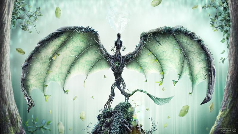 listy, digitální umění, fantasy umění, hmyz, zelená, drak listy, digitální umění, fantasy umění, hmyz, zelená, drak