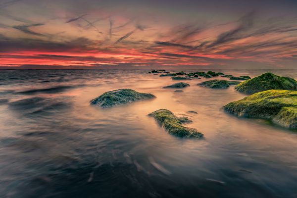 stones,sea,moss