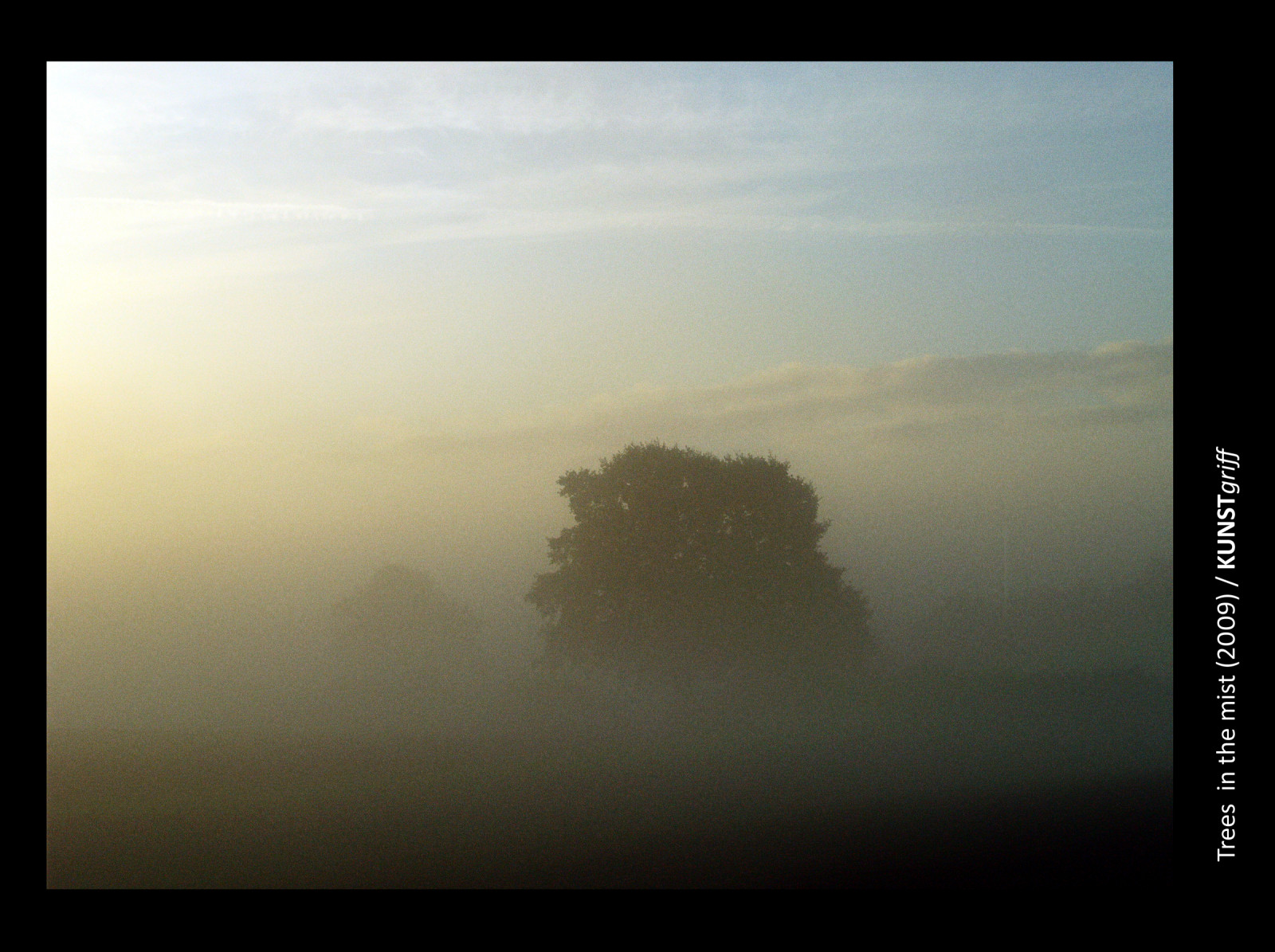 slunečnímu záření, stromy, nebe, svítání, ráno, Německo, mlha, slunce, horizont, atmosféra, mlhavý, opar, mrak, mlhavý, mlha, počasí, svítání, nebe, deutschland, platinumheartaward, flickrestrellas, bestcapturesaoi, aplusphoto, artofimages, b UME, topf75, superaplus, Nebel, Šlesvicko-Holštýnsko, atmosférický jev, globální vesnice, neblig, lunarvillage, theacademytreealley
