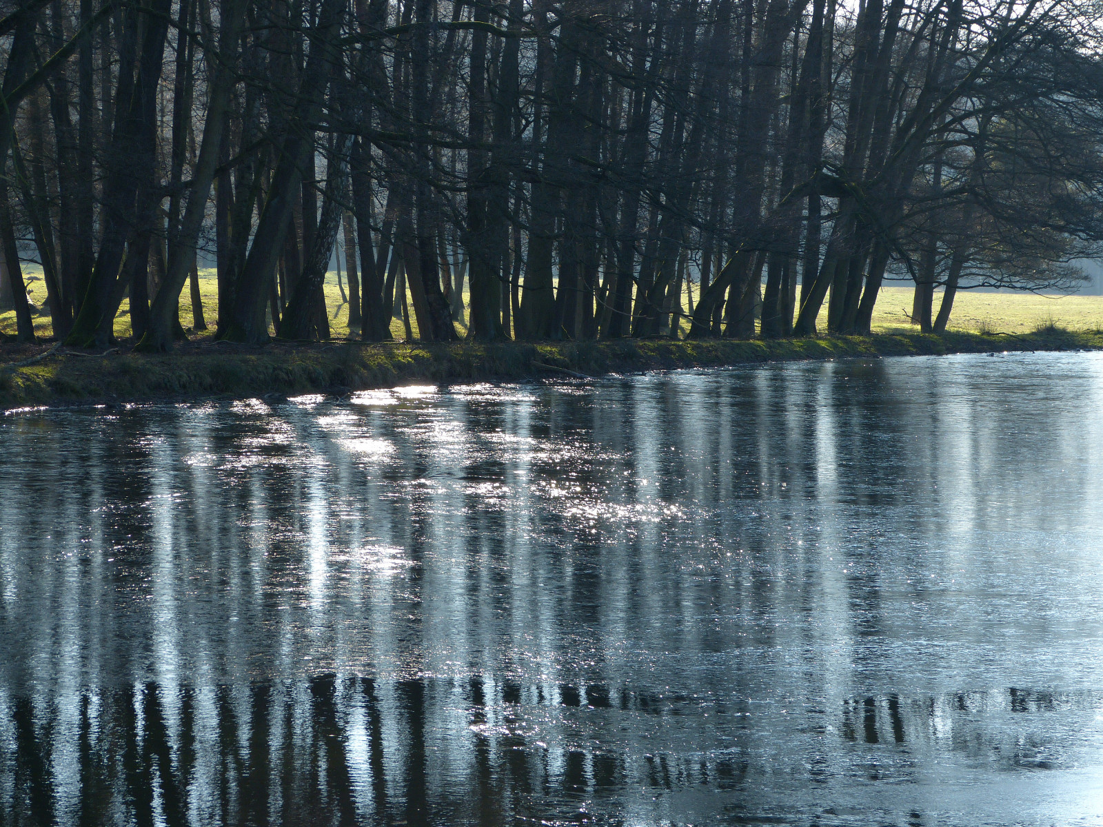 slunečnímu záření, stromy, krajina, les, jezero, voda, Příroda, odraz, zima, led, rybník, bažina, mokřadní, světlo, strom, podzim, list, sezóna, odrazy, výložník, licht, Landschap, bayou, panasonicdmcfz150, Bomen, místo výskytu, přírodní prostředí, atmosférický jev, dřevina, tělo z vody, Vijver, IJS, wildparkd lmen, 1190675