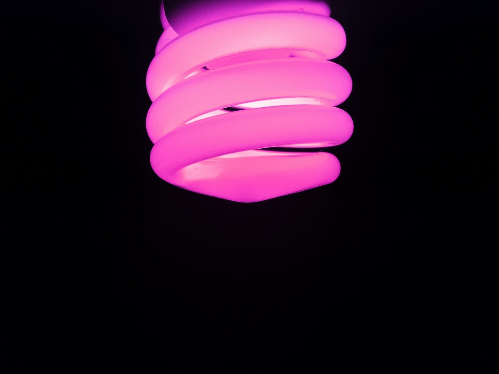 1920x1440 px, Lumină de neon, Violet