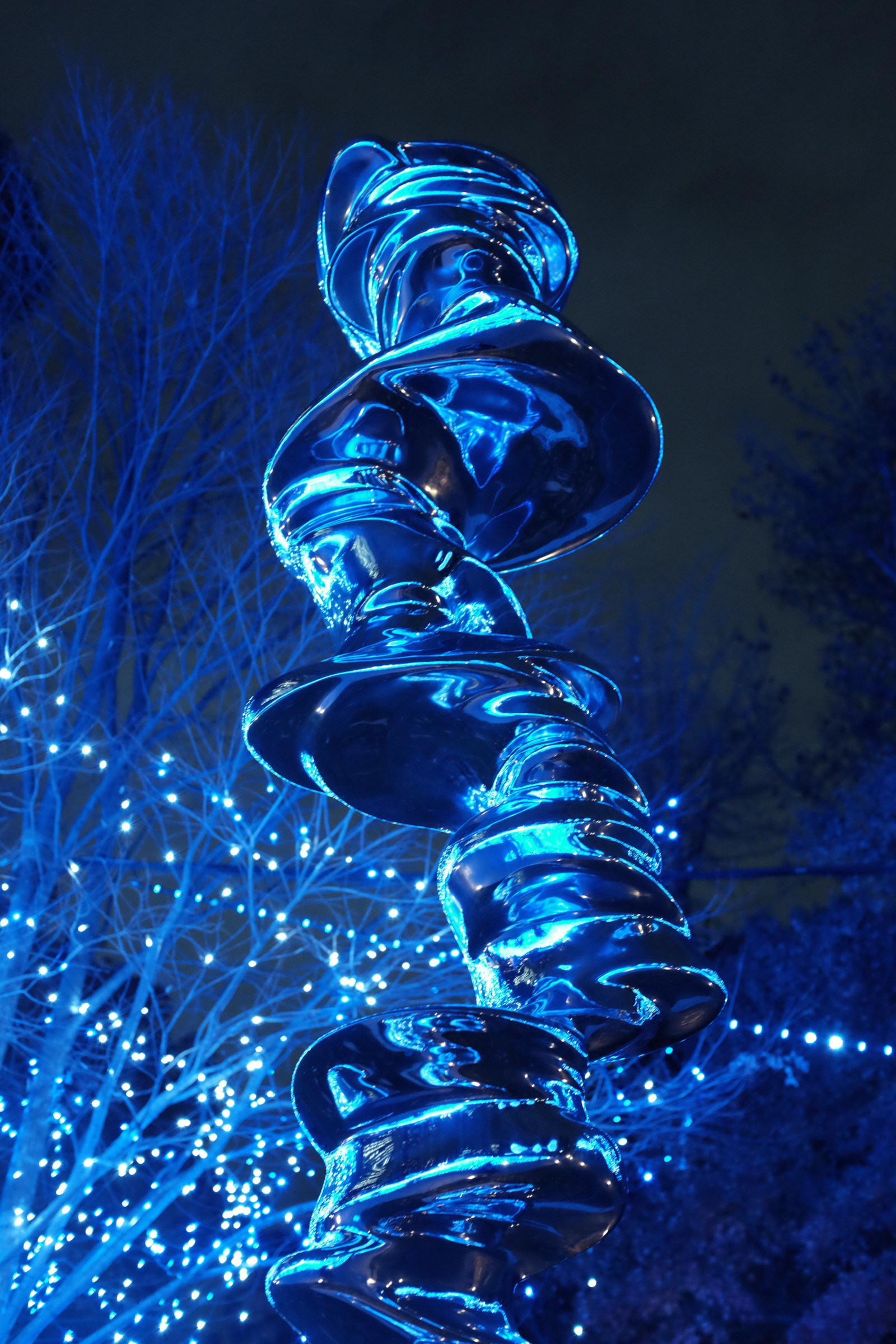 Wallpaper : night, water, branch, blue, ice, Christmas Tree, christmas
