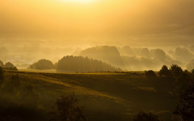 sunlight, landscape, forest, sunset, hill, nature sunlight, landscape, forest, sunset, hill, nature