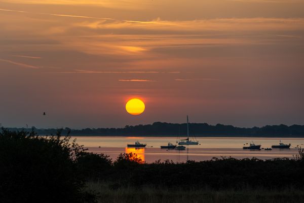 nature,landscape,sunset