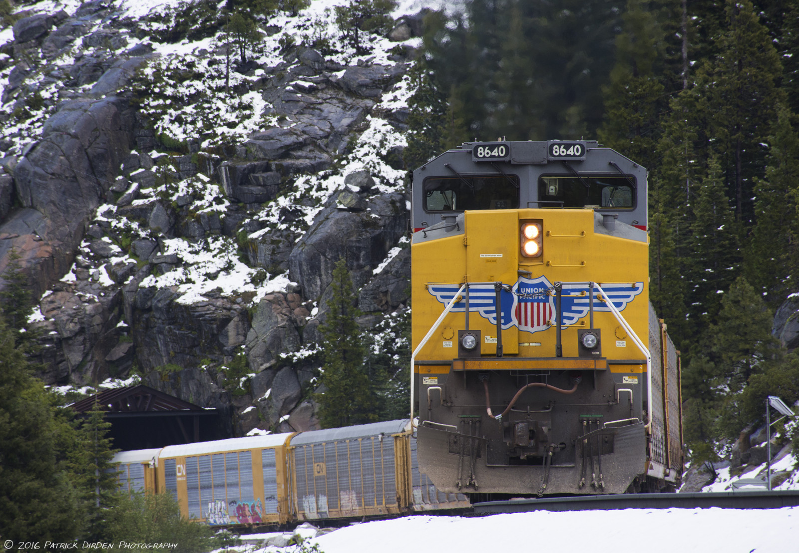 transportere, jord køretøj, spore, sne, køretøj, jernbanetransport, træ, tog, vedplante, rullende materiel, motor køretøj, vinter, plante, lokomotiv, bjergkæde, geologisk fænomen, bjerg, jernbanen bil, Alperne, offentlig transport