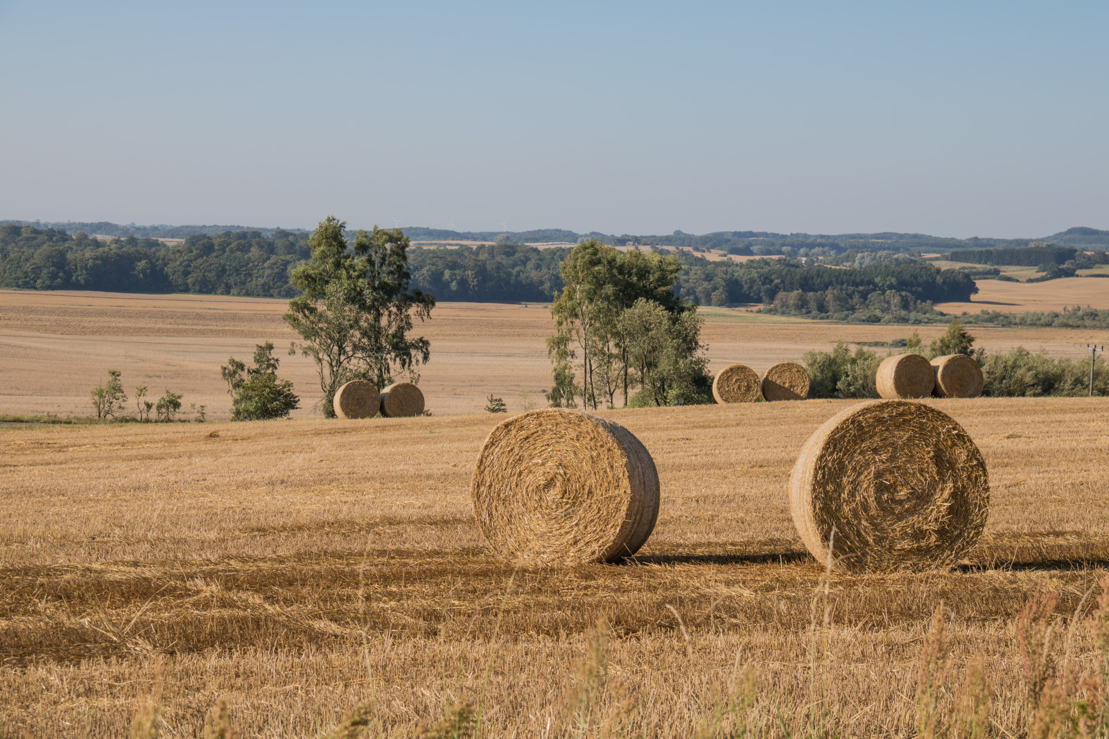 แนวนอน, หญ้า, ฟิลด์, ฟาร์ม, ฟางข้าว, หญ้าแห้ง, บริภาษ, ทัศนียภาพ, ทุ่งหญ้า, ปลูก, ชนบท, ทุ่งเลี้ยงสัตว์, landsbygd, landskap, exif model canoneos760d, ประเทศธรณีวิทยา, กล้องทำให้ Canon, geocity, กล้องรุ่น canoneos760d, geostate, ตำแหน่งทางภูมิศาสตร์, เลนส์ Exifs efs18200mmf3556is, exif ทำให้ canon, exif isospeed 100, exif focallength 50 มม, รูรับแสง exif 90, halm, เกษตรกรรม, ที่ราบ, ทุ่งหญ้า, พืช, ดิน, เขตชนบท, ครอบครัวหญ้า, สะวันนา