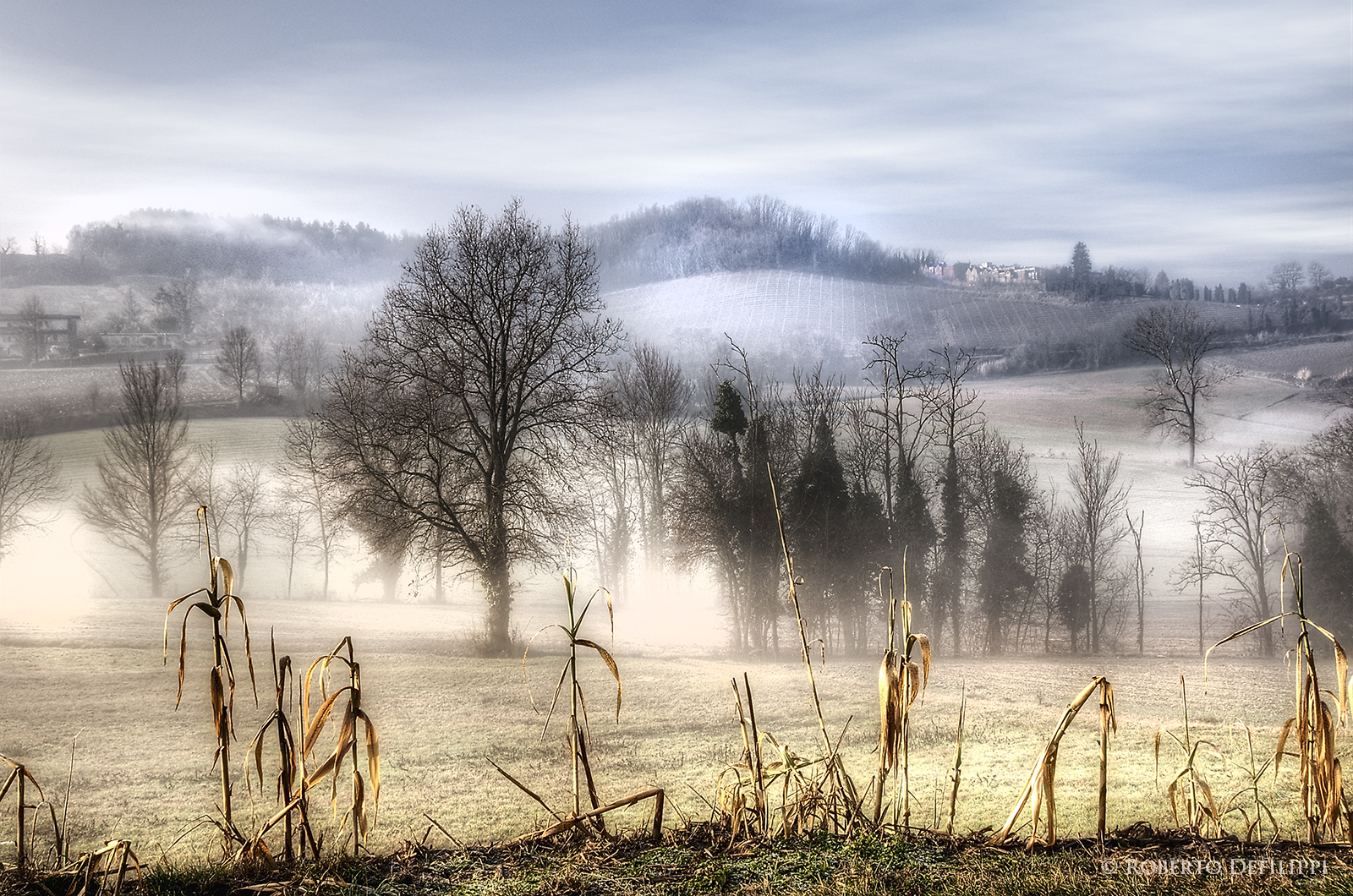 luce del sole, paesaggio, foresta, natura, riflessione, la neve, inverno, mattina, nebbia, brina, HDR, natura selvaggia, 2013, zone umide, rodei, albero, autunno, nebbia, tempo metereologico, stagione, campagna, inverno, Nebbia, photographyforrecreationeliteclub, rememberthatmomentlevel1, rememberthatmomentlevel2, rememberthatmomentlevel4, rememberthatmomentlevel3, bestcapturesaoi, nikond300, campagna, rememberthatmomentlevel9, rememberthatmomentlevel5, rememberthatmomentlevel6, rememberthatmomentlevel10, niksoftware, piemonte, photoshopcs6, photomatixpro42, robertodefilippi, area rurale, habitat, ambiente naturale, fenomeno atmosferico, pianta legnosa