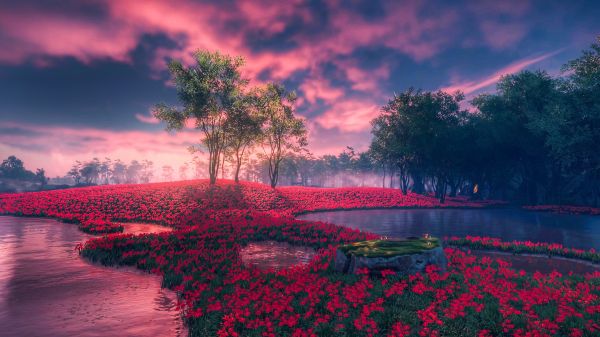 cloud,sky,Natural landscape,water,plant,afterglow