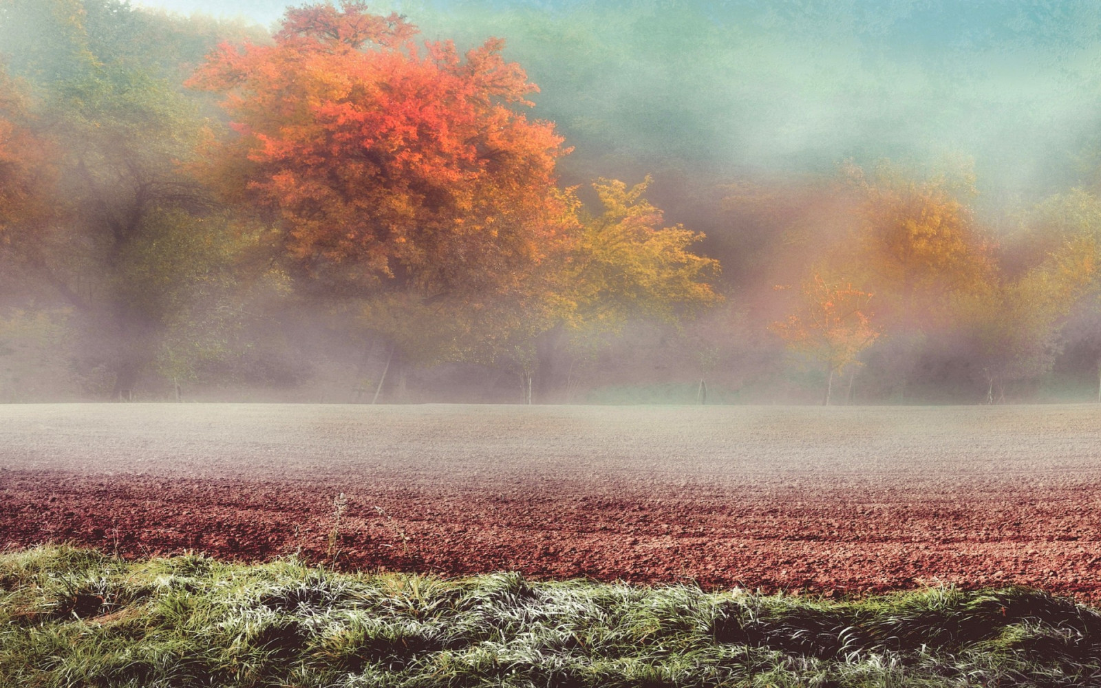 Wallpaper : sunlight, trees, landscape, fall, nature, field, sunrise ...