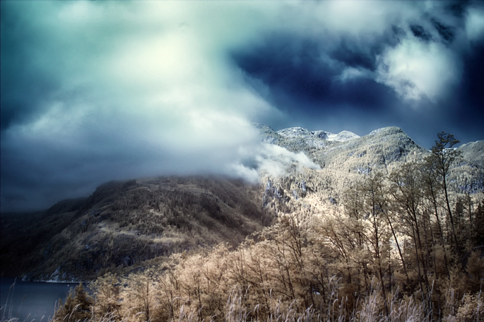 sollys, træer, landskab, bjerge, bakke, vand, natur, afspejling, græs, himmel, sne, vinter, regn, skyer, morgen, tåge, frost, vind, horisont, ødemark, Alperne, plateau, ryg, Sky, træ, tåge, bjerg, vejr, daggry, udforske, sæson, betagende, atmosfærisk fænomen, bjergrige landskabsformer, bjergkæde, meteorologisk fænomen, Squamish