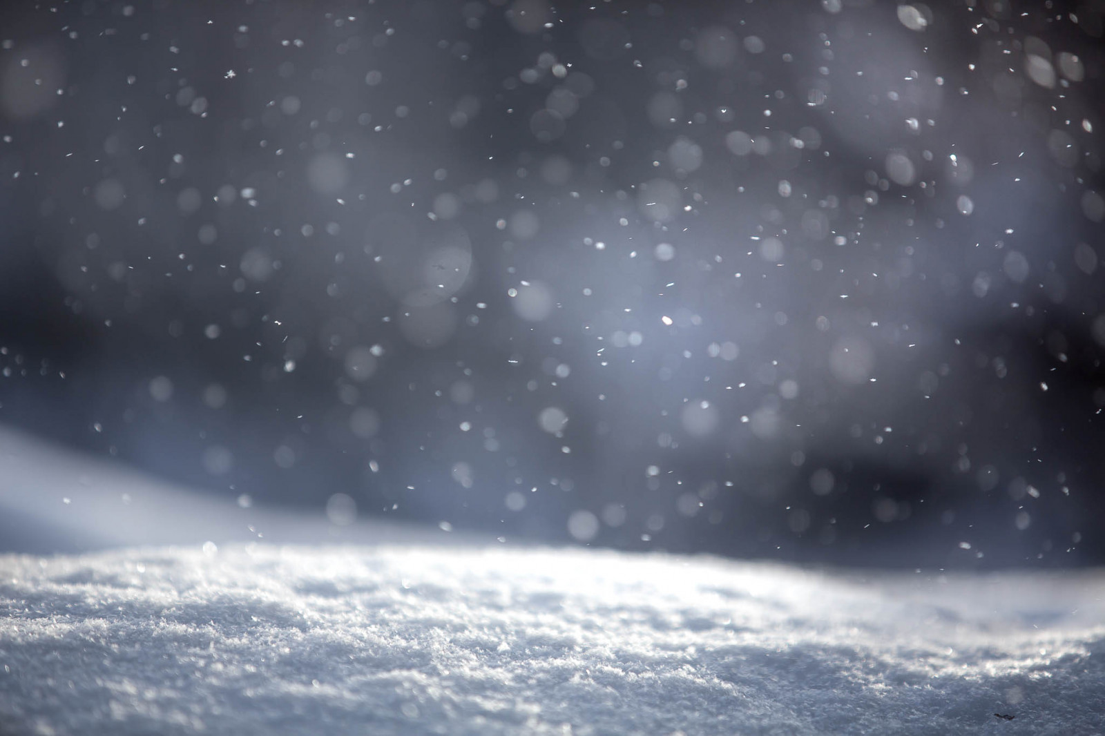 atmosféra, Natural landscape, astronomický objekt, hvězda, Věda, půlnoc, krajina, horizont, nebe, uklidnit, prostor, Tints and shades, UMĚNÍ, zmrazení, astronomie, tma, černobílý, zima, petrolejově modrá, vesmír, vesmír, monochromatické fotografování, událost, noc, jitřenka, nebeská událost, voda, mořská vlna