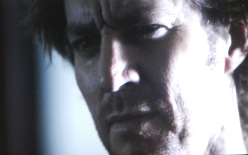 næse,ansigtshår,kæbe